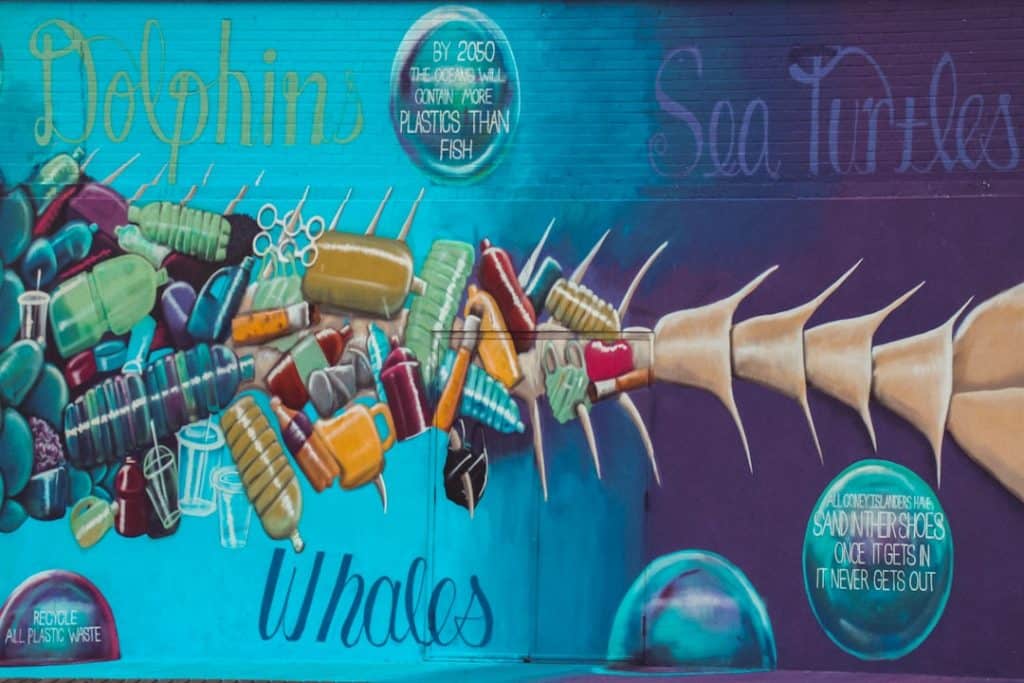 Photo dental postcard marketing